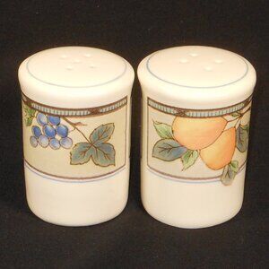 Mikasa Intaglio CAC29 Garden Harvest salt and pepper shakers set